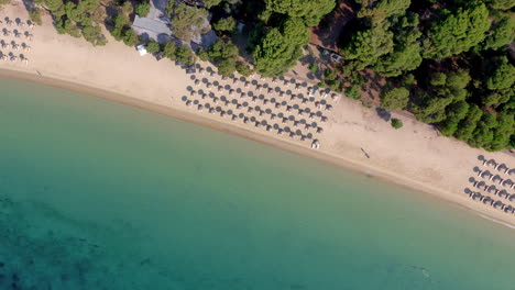 Aerial:-Top-down-view-of-the-beautiful-Koukounaries-beach-in-Skiathos-island,-Greece