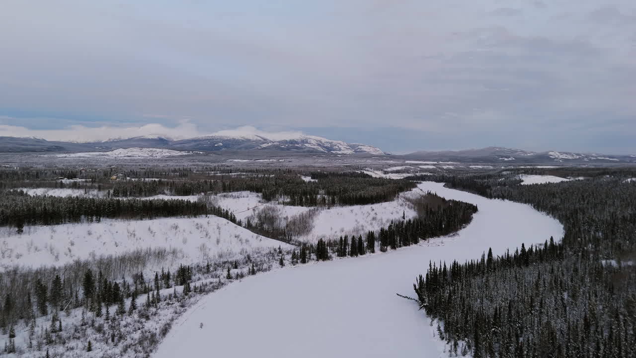 Frozen River Stream Through Conifer Trees Near Ibex Valley, Yukon, Canada. Aerial Drone Shot