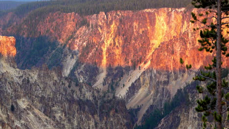 orange evening sunlight shines on upper half of canyon walls at the grand canyon of yellowstone