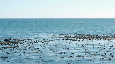 a large flock of birds flying over the ocean with a small boat floating on the sea