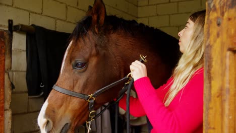 Woman-wearing-rein-to-horse-in-stable-4k