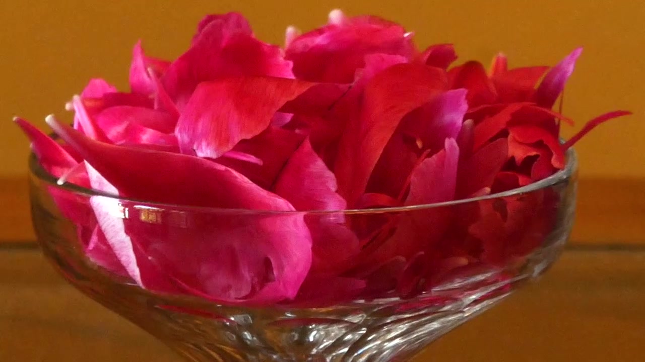Vakre rosa blomsterblader som faller forsiktig og fyller et krystallklart glassbeger på et bord.