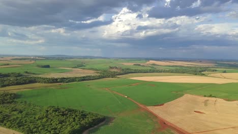 plantación de soja en el brasil