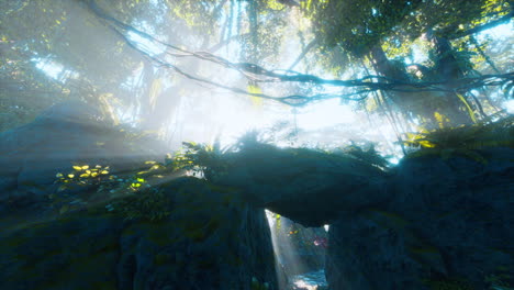 misty rainforest and bright sun beams through trees branches