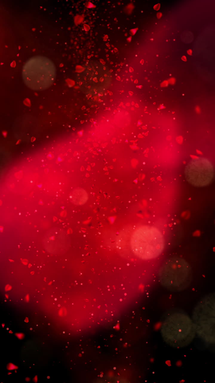 Petali di Rosa Rossa che Cadono con Luci Bokeh su Sfondo Scuro