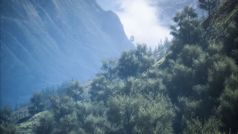 mystical mountain landscape enveloped in morning mist and lush greenery