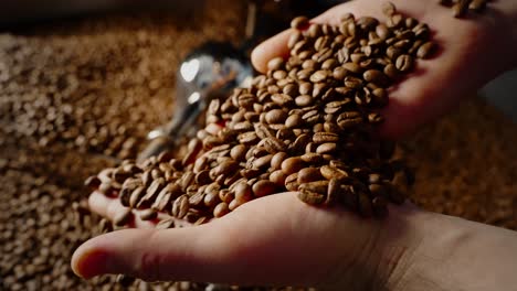coffee beans being handled