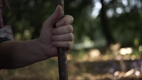 manos sosteniendo un palo de madera plano medio