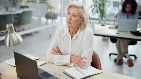 mature businesswoman working in office