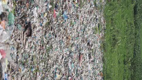 garbage pile and grass