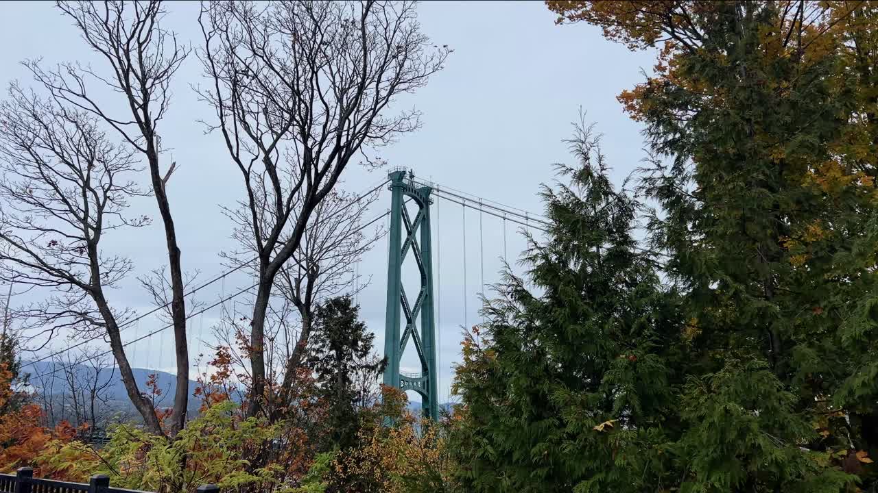 Iconic side view of Lions Gate Bridge emerging through autumn trees in Vancouver, British Columbia. Cinematic Pacific Northwest landmark blending urban engineering with natural forest surroundings