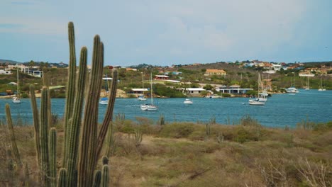 veleros anclados en el fondo azul profundo de las aguas españolas con cactus, hierba verde, diferentes casas y plantas bajo el cielo nublado azul en la isla de curacao - toma amplia