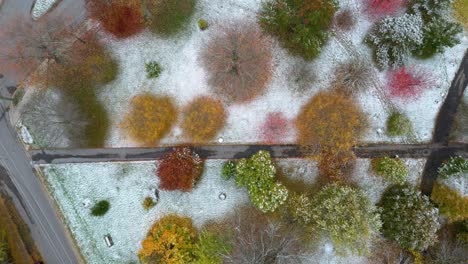 Jahreszeitenübergang:-Herbstblätter-Treffen-Auf-Winterfrost