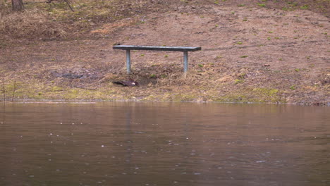 lonely bench by the river on a rainy day