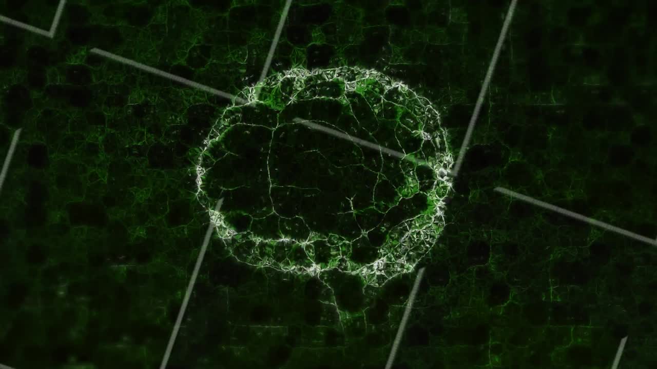Animation of green human brain spinning over grid