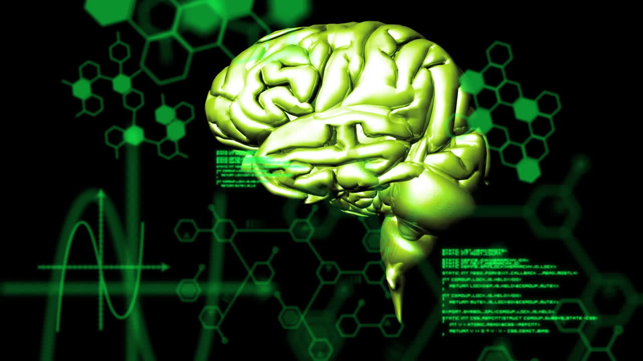 animación del cerebro con tecnología y procesamiento de datos