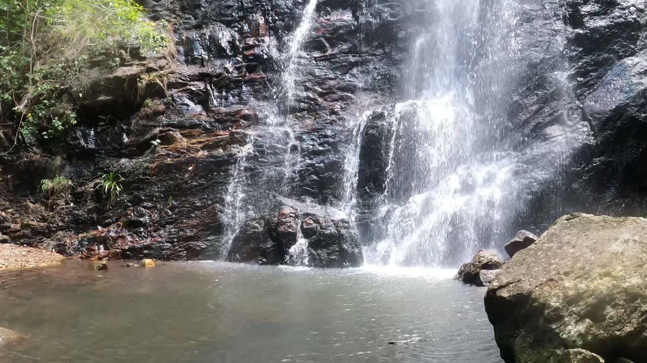 cascada en cascada sobre las rocas en un bosque exuberante