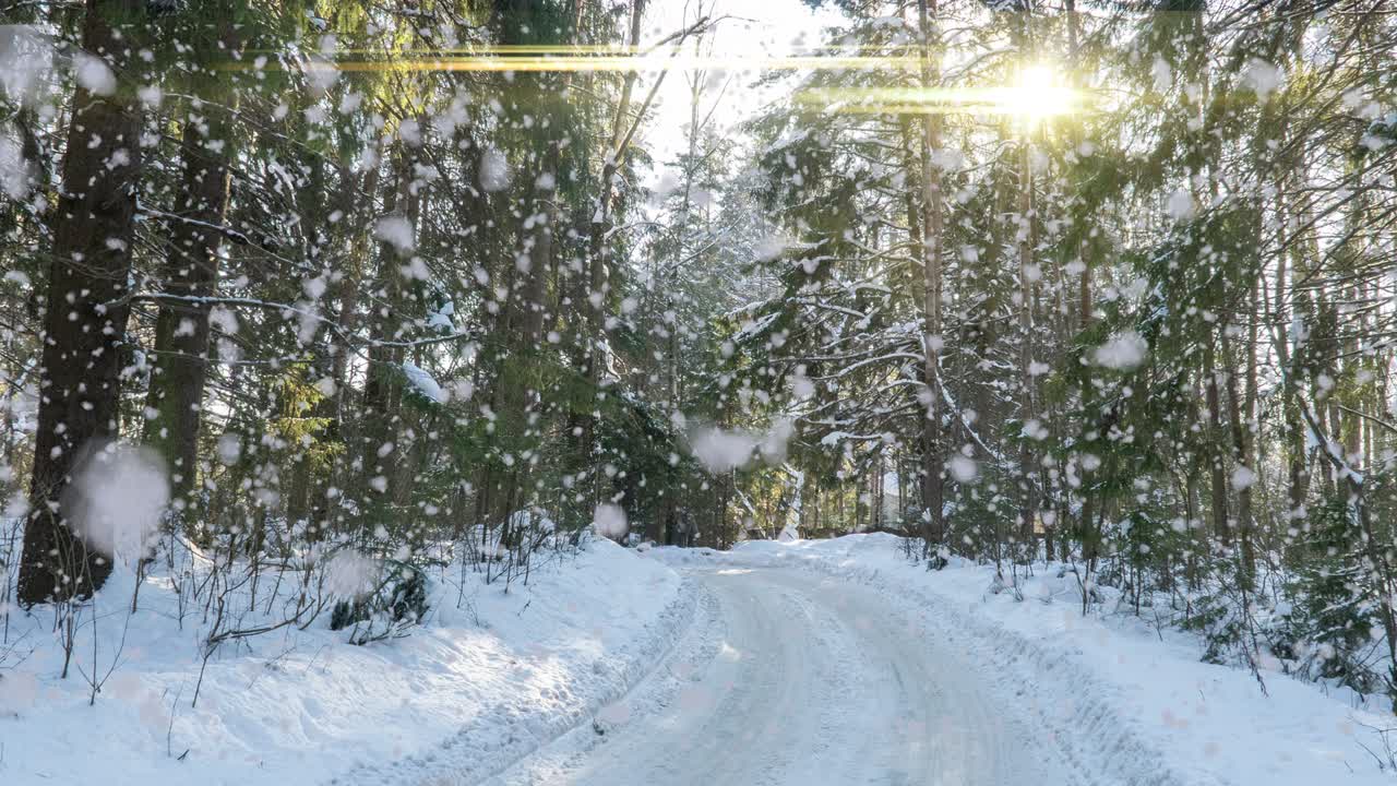 눈 인 숲. 눈 은 겨울 숲에서 위에서 아래로 볼 수 있는 풍경, 자연 풍경, 얼어붙은 숲, 겨울의 숲에서 이 나는 풍경