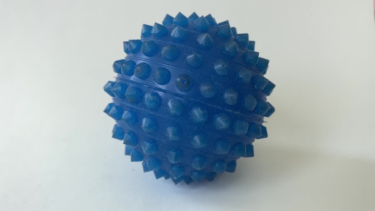 Rubber spiky ball used as pet toy