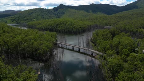 aerial view over pine creek bridge, springbrook national park on the gold coast hinterland, queensland, australia