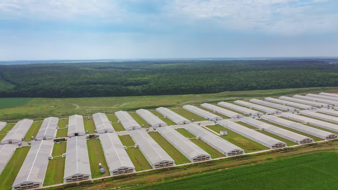 Amazing view of large farm on the natural background. Aerial view of a modern farming complex for livestock in summer. Slow motion.
