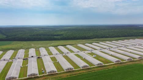 amazing view of large farm on the natural background. aerial view of a modern farming complex for livestock in summer. slow motion.