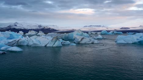 Robben-Schwimmen-In-Der-Jökulsarlon-Gletscherlagune-Mit-Eisbergen-In-Island