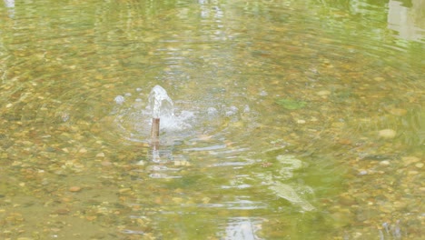 A single water jet gently bubbles from a small fountain in a shallow, pebble-lined pond under natural daylight, with steady camera framing
