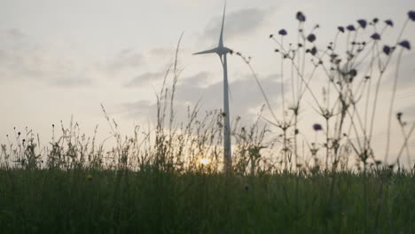 Wind-Weht-Zur-Goldenen-Stunde-Hohes-Gras-In-Der-Nähe-Von-Windkraftanlagen-In-Bayerischen-Feldern