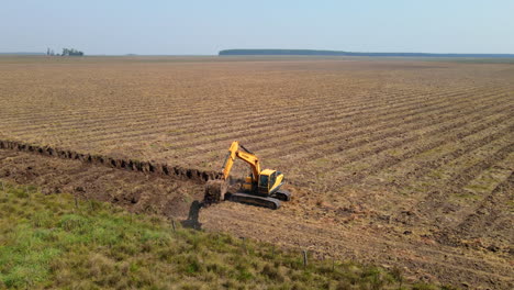 máquina en el trabajo en un campo de reforestación de captura de carbono, mostrando esfuerzos sostenibles para mitigar las emisiones de carbono y promover la conservación del medio ambiente