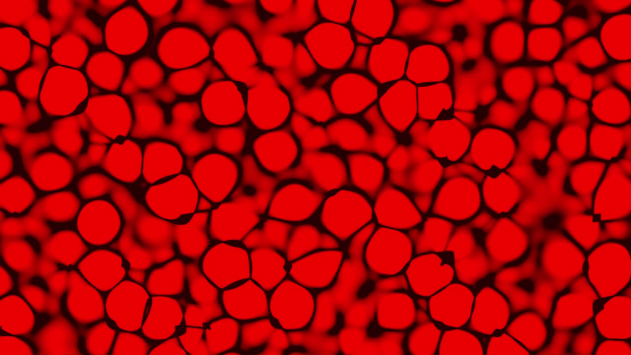 animación de los glóbulos rojos bajo el microscopio