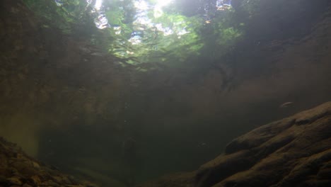 El-Parque-Nacional-Kaeng-Krachan-Es-El-Hogar-De-Muchos-Animales-Salvajes-Fantásticos-Y-Los-Arroyos-Son-Una-Fuente-De-Vida-De-Agua-Dulce-Para-Que-Los-Animales-Beban-Y-Los-Peces-Naden.