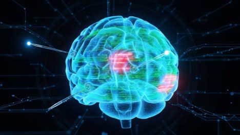 exploring the dynamic connections and neuroplasticity of the human brain: a visual journey through neural networks and data flow in cognitive processing