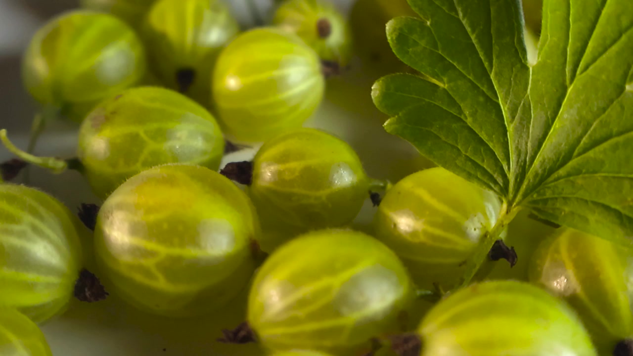 Primo piano di uva spina verde matura con una foglia, che scivola lentamente su bacche estive appena raccolte. Concetto di alimentazione sana incentrato su ingredienti superfood biologici, crudi e vegani.