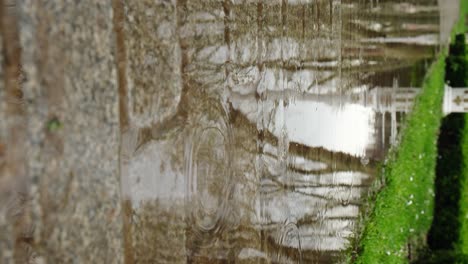 raindrops and reflections of trees on a puddle in slow motion