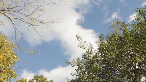 Time-lapse,-camera-looking-upward-at-the-blue-sky-with-fluffy-clouds-moving-across-the-sky-on-a-beautiful-pleasant-day