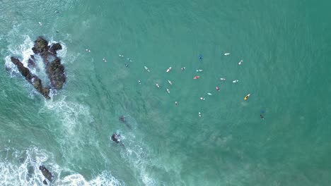 aerial view of many people surfing in the ocean