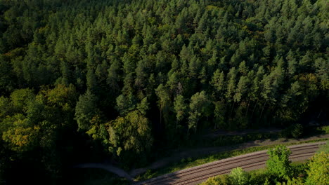 aerial view on railway tracks in forest, sweden