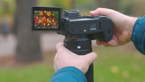 hands capturing colorful autumn leaves at the park with mirrorless camera