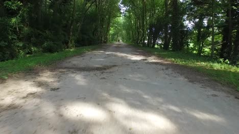 fotografía de un avión no tripulado de una bicicleta en tándem en el bosque
