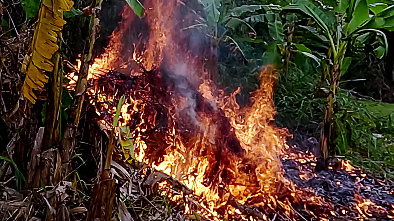 Wildfire environmental destruction, bushfire emergencies, slow motion