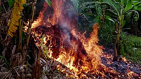 wildfire environmental destruction, bushfire emergencies, slow motion