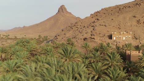 Drone-flying-over-palm-trees-with-rocky-mountains-in-background,-Zagora-in-Morocco