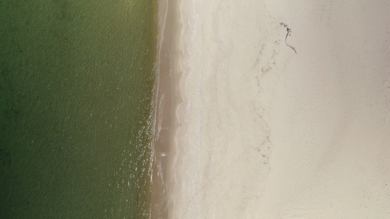 Spiaggia sabbiosa deserta con acqua verde increspata