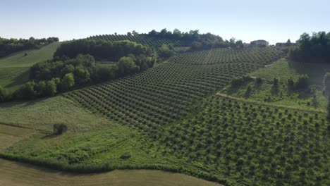 Campo-Típico-Italiano-Con-Cultivos-De-árboles-Frutales-Y-Trigo.