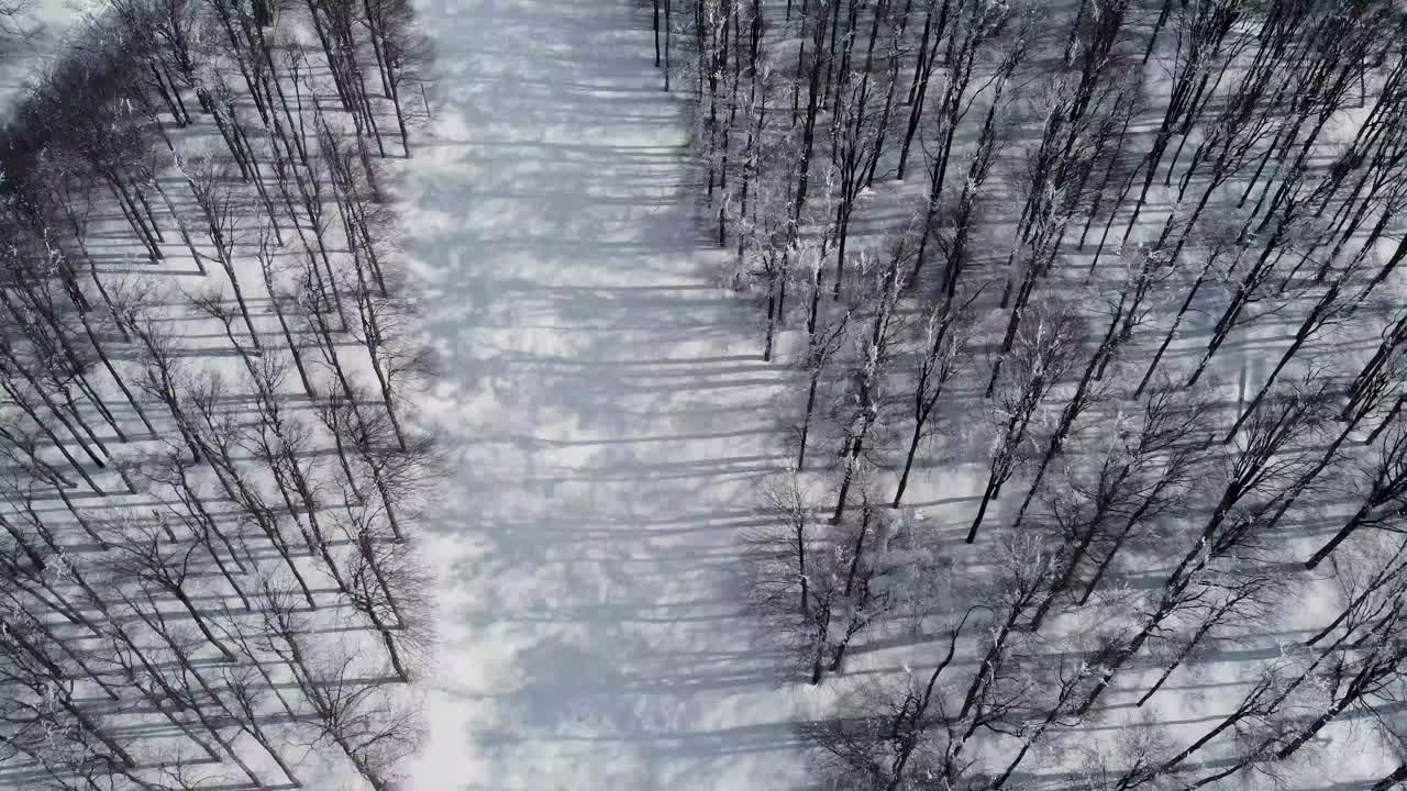 Aerial winter panorama: snowy forest to majestic Chumerna peak in Bulgaria