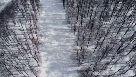 Aerial-winter-panorama:-snowy-forest-to-majestic-Chumerna-peak-in-Bulgaria