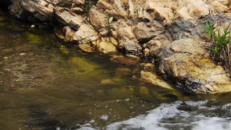 Agua-De-Río-De-Cocodrilo-De-Cascada-De-Montaña-Fresca-Y-Cristalina-Que-Brilla-Y-Fluye-Sobre-Rocas-Y-Guijarros-En-El-Fondo-En-Los-Jardines-Botánicos-Nacionales-Walter-Sisulu-En-Roodepoort,-Sudáfrica