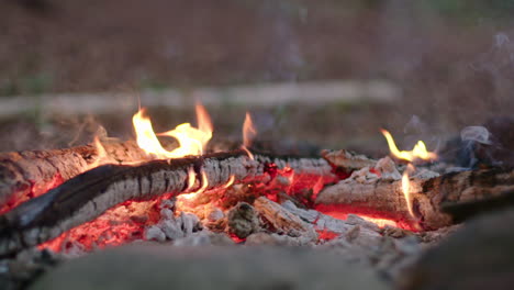 Lagerfeuerflammen-In-Zeitlupe