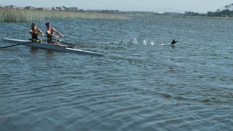 two male rowers practicing rowing on the lake